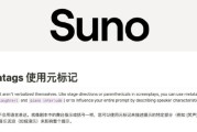 Suno AI国内代理怎么找？我踩过的坑和真实体验分享